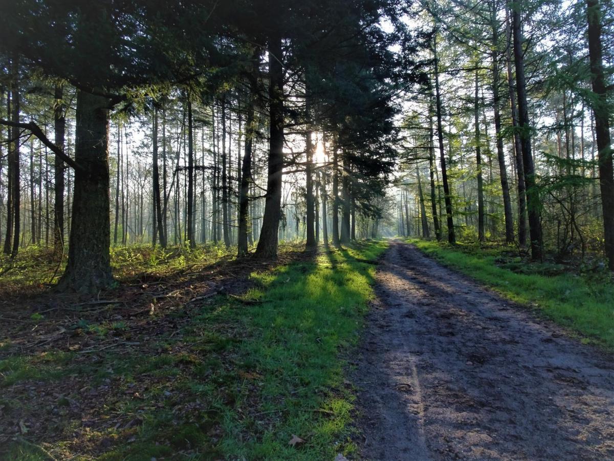 Veluwe Park Reewold Chalet Vision Пюттен Екстер'єр фото